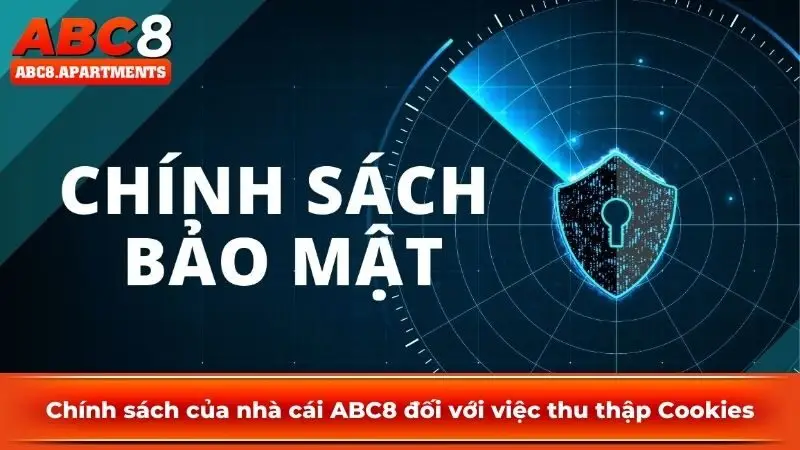 Tìm hiểu những thông tin được quyền thu thập tại nhà cái Tìm hiểu những thông tin được quyền thu thập tại nhà cái