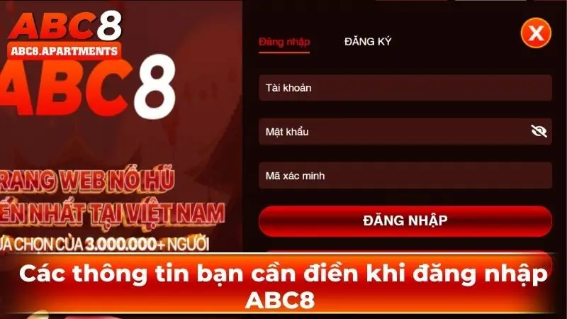 Các thông tin bạn cần điền khi đăng nhập ABC8